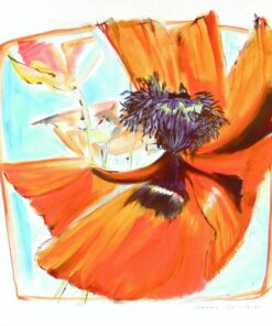Papaver VI