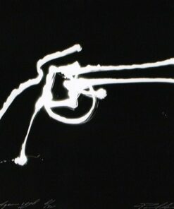 Shotgun  /25
